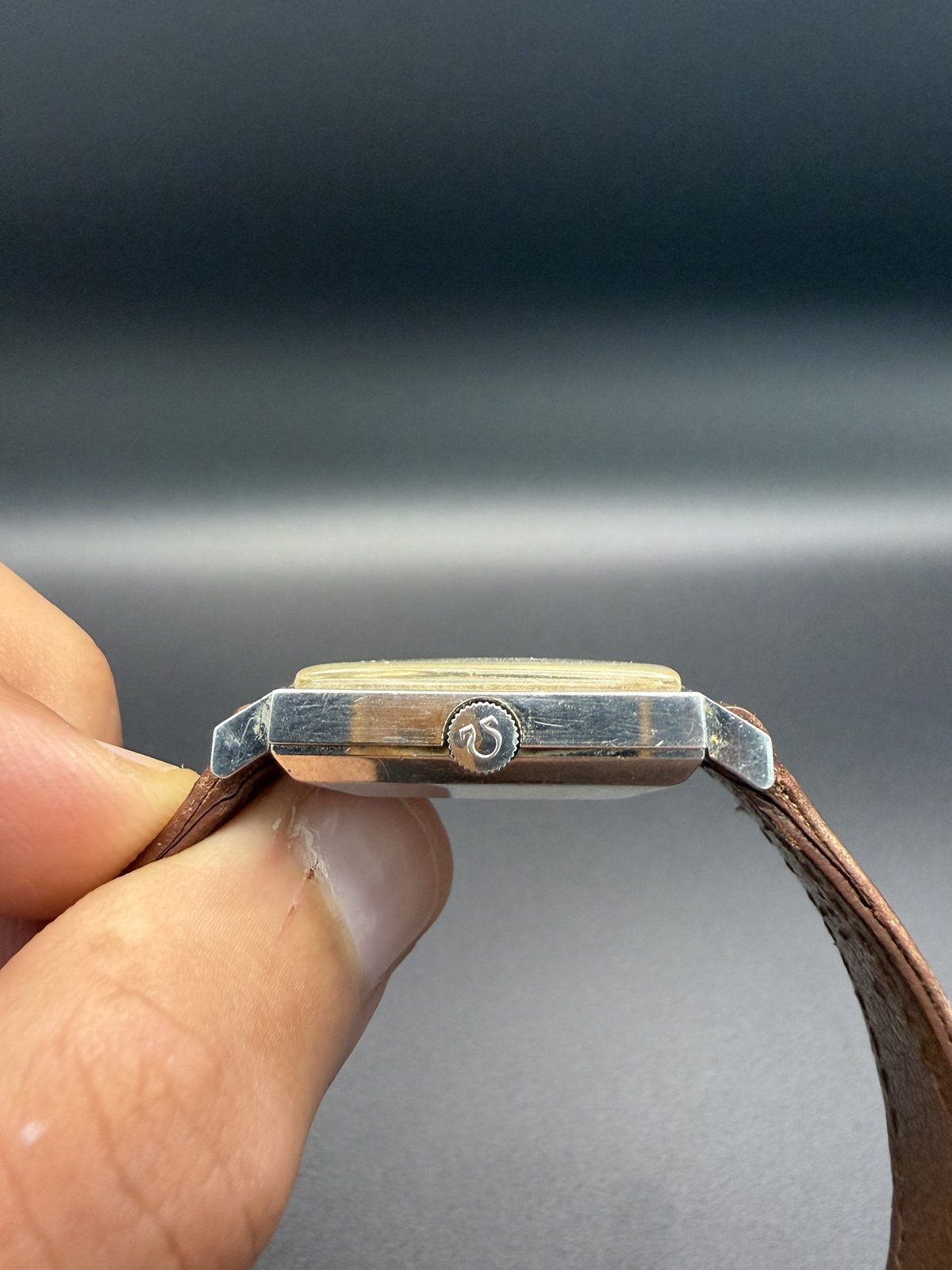Side view showing the Omega-signed crown